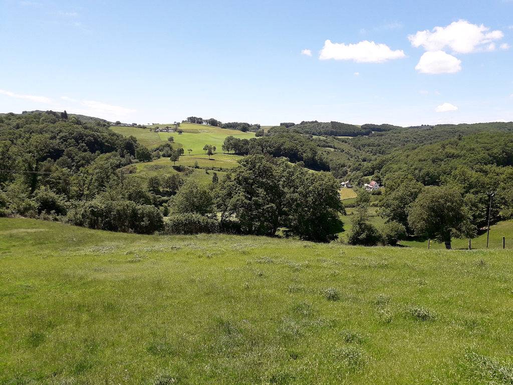 Gîte de Lagarriguette in Ladinhac, Région d'Aurillac