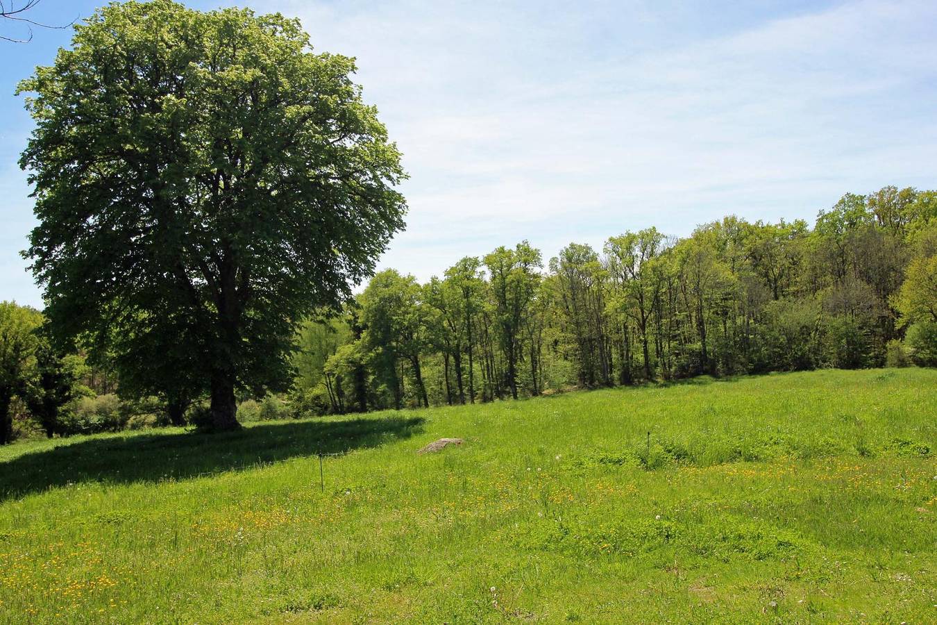 Chez Germaine in La Chapelle-Montbrandeix, Parc naturel régional Périgord-Limousin
