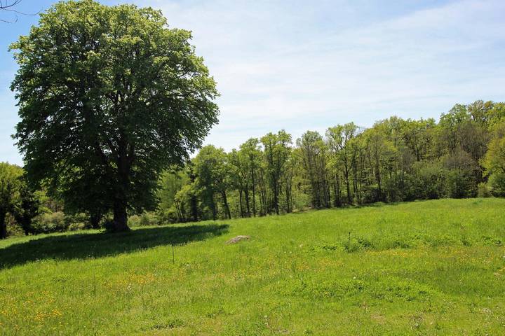 Gîte pour 6 personnes, avec jardin dans Parc naturel régional Périgord-Limousin - 3