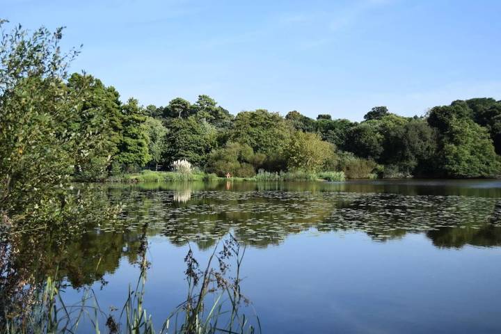 Mobil home pour 6 personnes, avec terrasse à Ondres - 3
