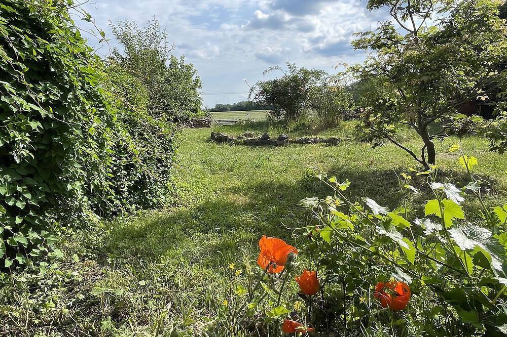 Former farmhouse with artistic ambience, sauna and whirlpool, foto 15