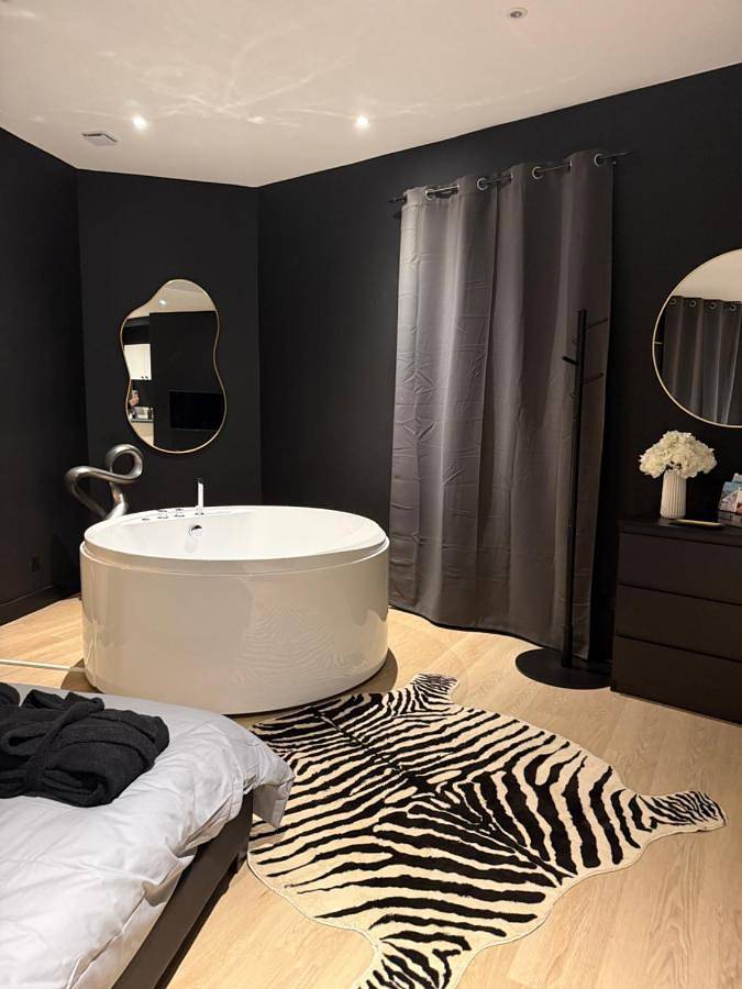 Appartement entier, La Suite Miroir - Baignoire balnéo in Châlons-en-Champagne, Marne