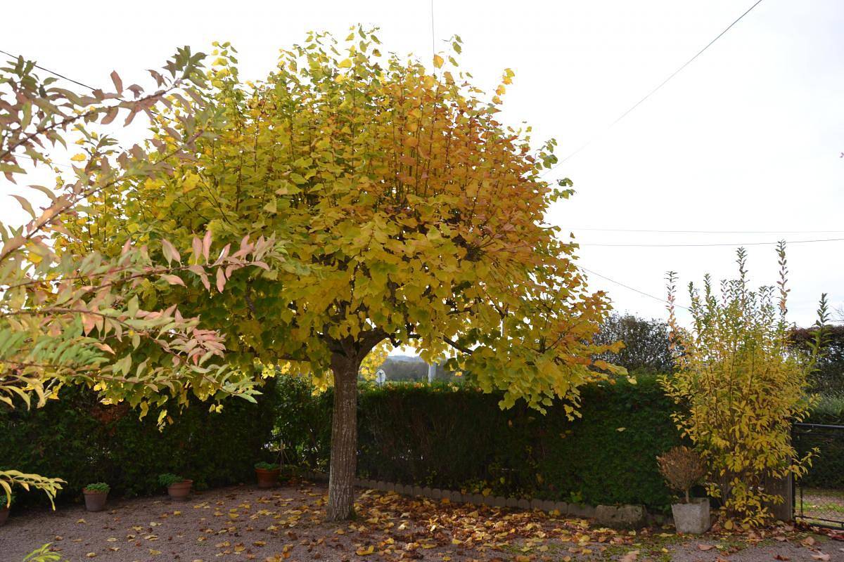 Gîte für 4 Personen mit Garten in Mesvres, Naturpark Morvan