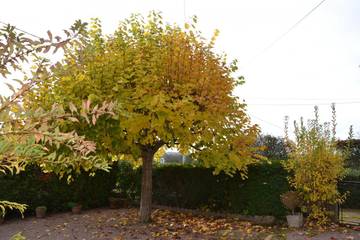 Vakantiehuis voor 4 Personen in Mesvres, Natuurpark Morvan, Afbeelding 4