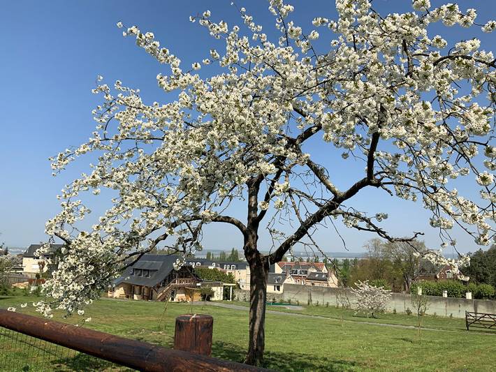Gîte pour 10 personnes, avec terrasse et jardin à Honfleur - 4