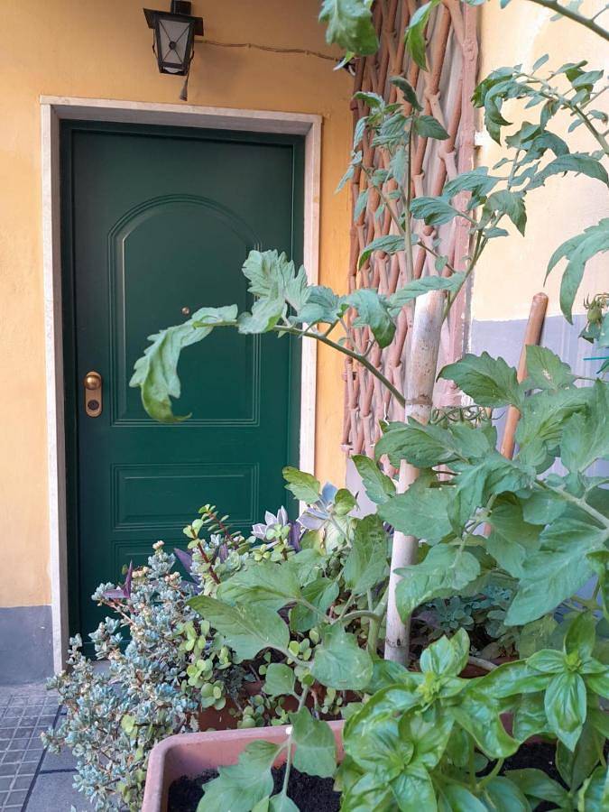 L'Iris in Livorno, Etruskische kust