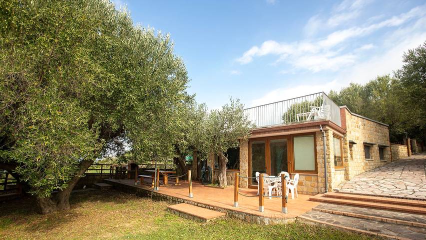 Casa degli Ulivi in Pisciotta, Cilento Coast
