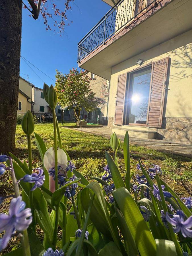 Ferienhaus für 6 Personen, mit Garten, mit Haustier - 1