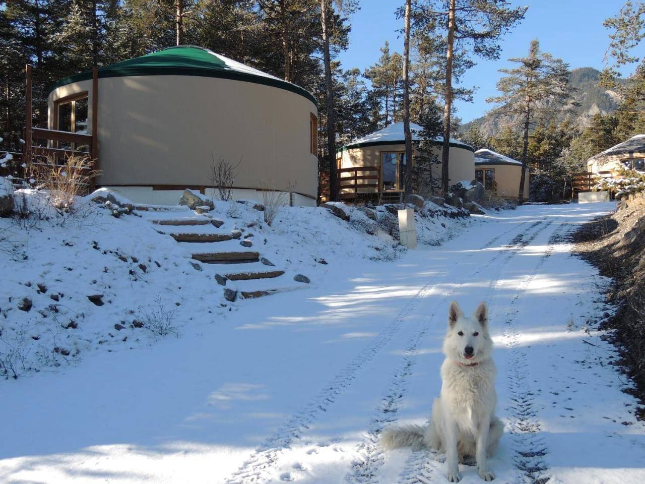 Chalet Façon "Yurt" (6 Adults) in Saint-Pons (Alpes-de-Haute-Provence), Val d’Allos