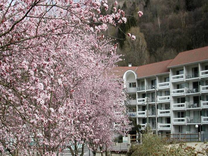 Holiday apartment for 4 people, with terrace, child-friendly - 1