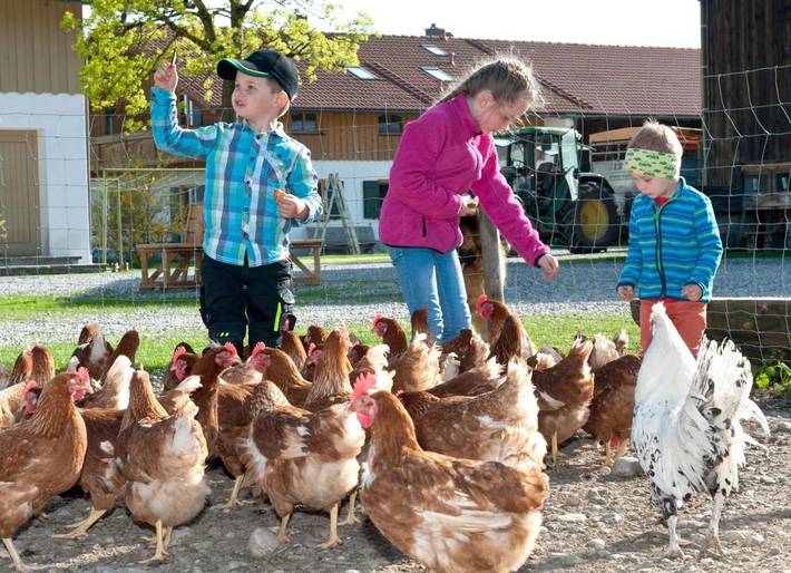 Ferienwohnung für 4 Personen, mit Ausblick und Garten in Peißenberg - 3