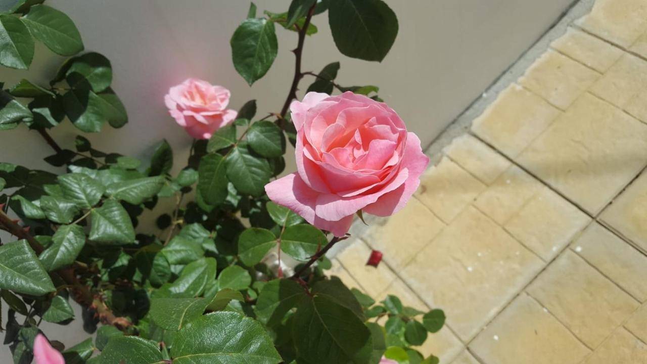 Villa Bella Vista in Tropea, Provincia di Vibo Valentia