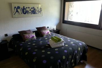 Vacation Rental for 10 Guests in Soldeu, Grandvalira, Picture 1