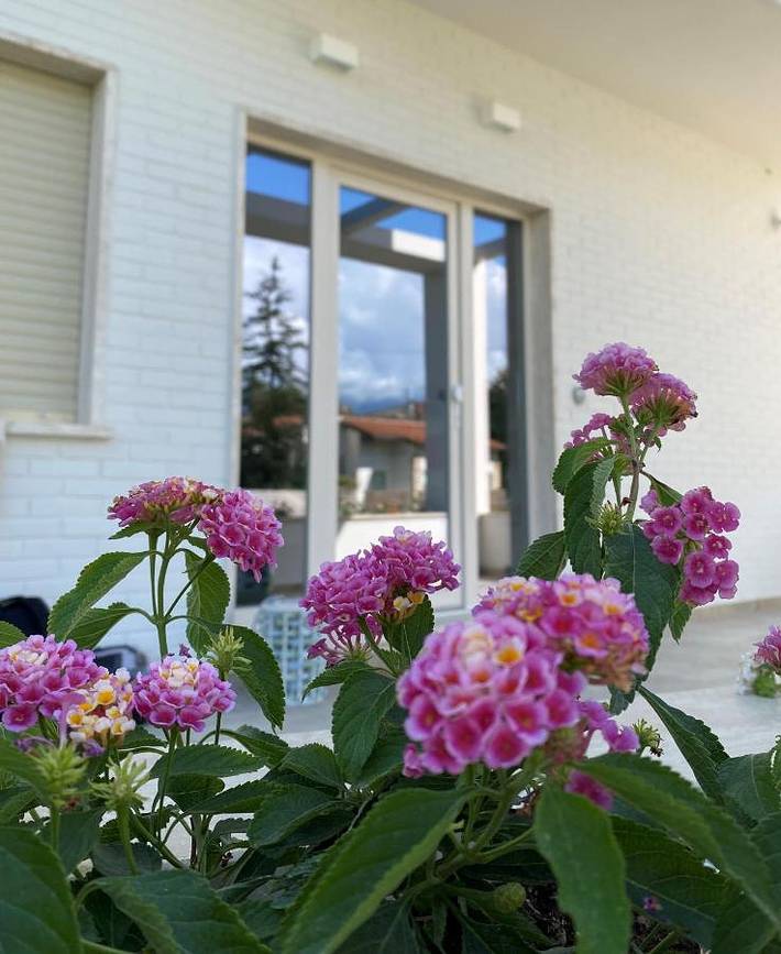 B&b per 2 persone, con Balcone e Terrazza nonché Giardino e Piscina per bambini a Marina di Pietrasanta