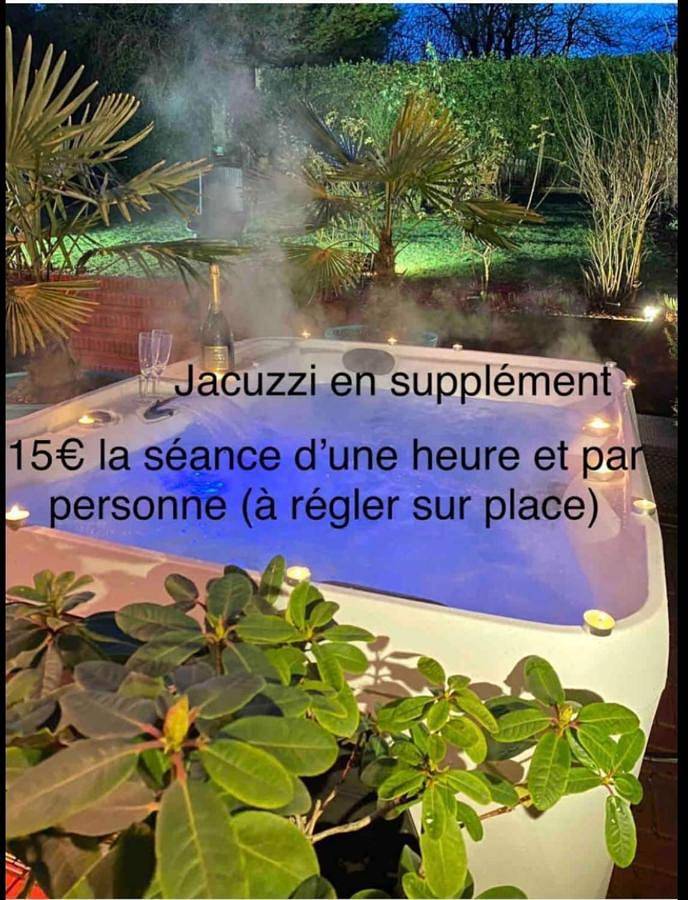 Gîte pour 2 personnes, avec jardin ainsi que terrasse et jacuzzi à Tourcoing - 2