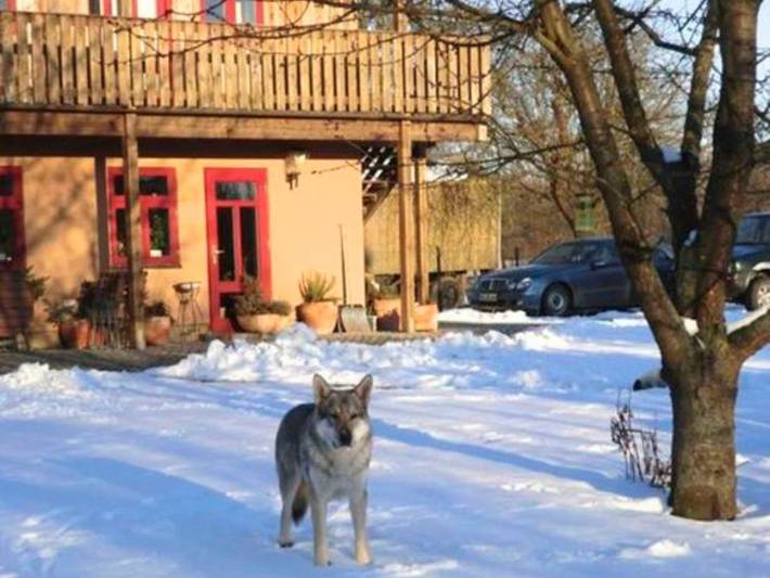Ferienhaus für 3 Personen, mit Garten und Sauna sowie Ausblick in Penzlin