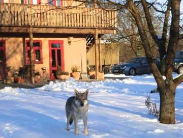 Bauernhof für 3 Personen, mit Garten und Sauna sowie Ausblick, kinderfreundlich in Mecklenburgische Seenplatte