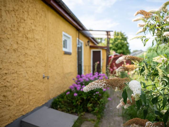 Ferienhaus für 4 Personen, mit Terrasse und Garten, kinderfreundlich in Krummin - 4