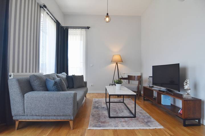 Entire apartment, 7th floor central 1-Bdr Apt  Wi-Fi/Pool/Gym in Istanbul, Marmara region