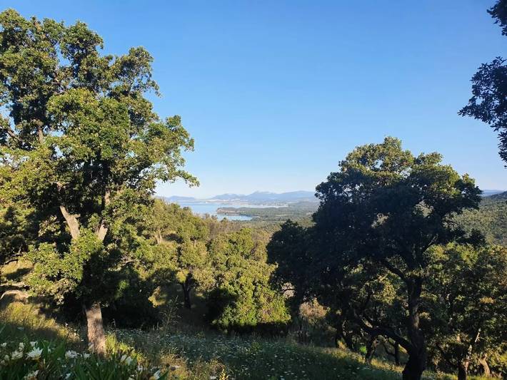 Villa pour 3 personnes, avec terrasse à Bormes-les-Mimosas - 2