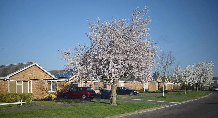 Chambre d’hôte pour 2 personnes, avec jardin en Angleterre - 3