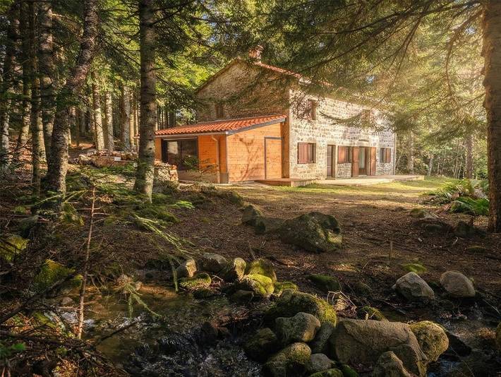 Location de vacances pour 12 personnes, avec terrasse ainsi que jacuzzi et sauna, animaux acceptés dans Chalmazel-Jeansagnière