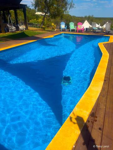 Bed And Breakfast for 4 People in Western Australia, Photo 4