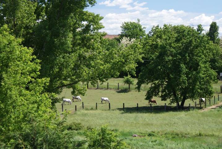 Location de vacances pour 3 personnes, avec vue à Tigliole - 2