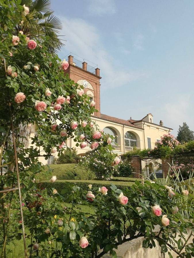 San Giovannina '800 in Casale Monferrato, Provincia d'Alessandria
