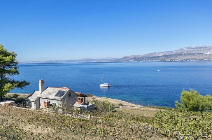 House Svjetlana in Postira, Brac