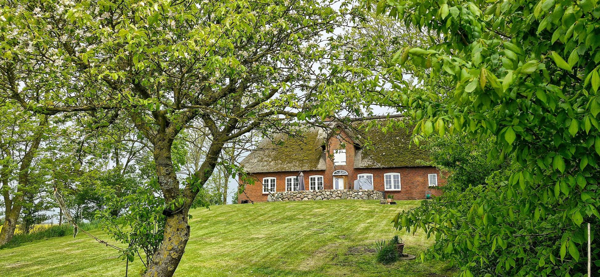 Reetdachhaus in Warftlage bei Schlüttsiel in Dagebüll, Nordseeküste