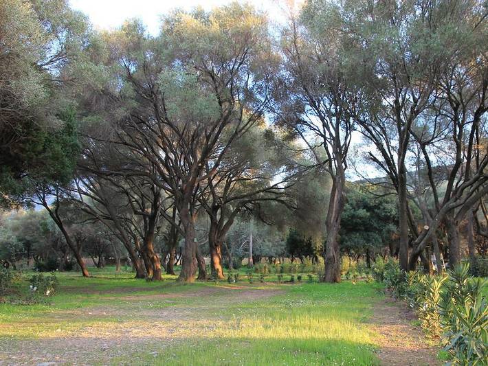 Mobil home pour 6 personnes à Galéria - 4