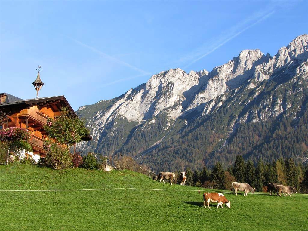 Appartement/Fewo, Dusche, Wc, 2 Schlafräume in Scheffau am Wilden Kaiser, Kitzbüheler Alpen