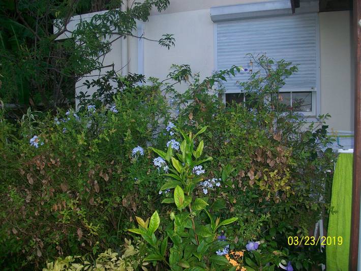 Gîte pour 2 personnes, avec terrasse à Rivière-Pilote - 4