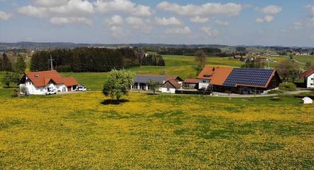 Gîte pour 5 personnes, avec terrasse, adapté aux familles à Wangen