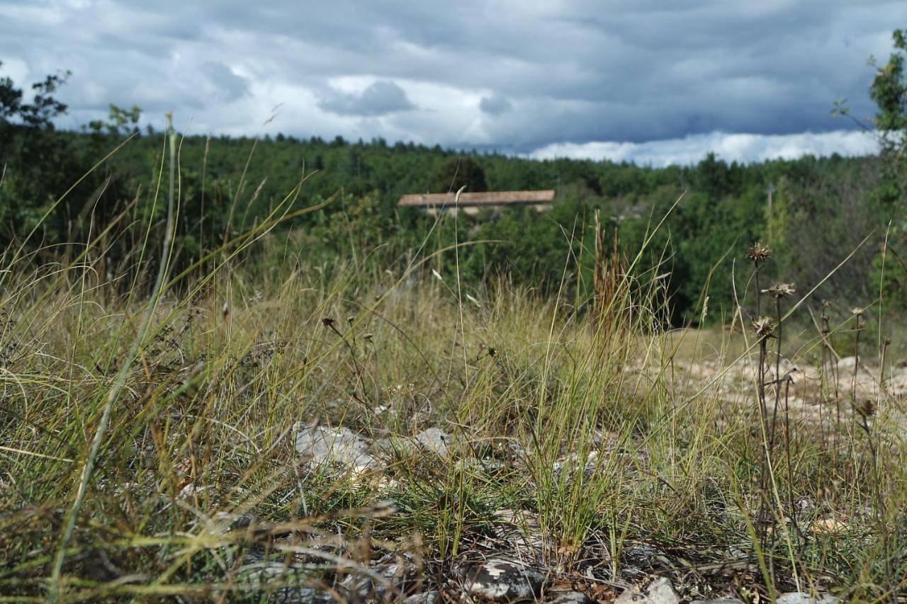 Le Mas de Loume in Sault, Parc naturel régional du Mont-Ventoux