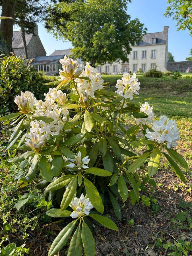 Deluxe Double Room with Castle View in Paimpol, Côte de Goëlo