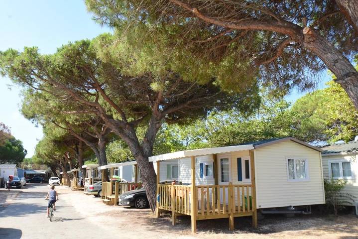 Camping pour 6 personnes, avec jardin et terrasse, animaux acceptés à Giens - 4