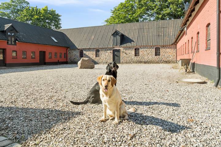 Bauernhaus für 6 Personen, mit Terrasse und Garten sowie Sauna in Aarhus und Umgebung - 2