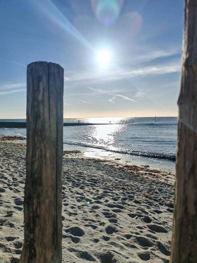 Location de vacances pour 10 personnes, avec jardin dans Plage Kerler Fouesnant - 3