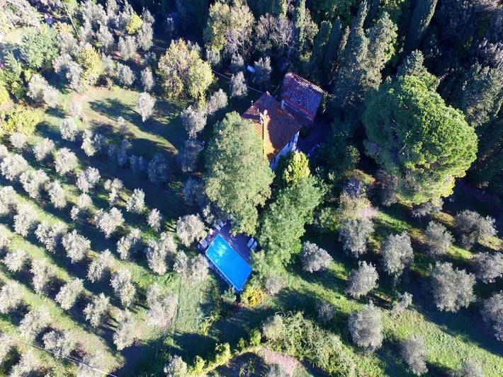 Location de vacances pour 12 personnes, avec jardin et piscine, animaux acceptés dans Ghizzano