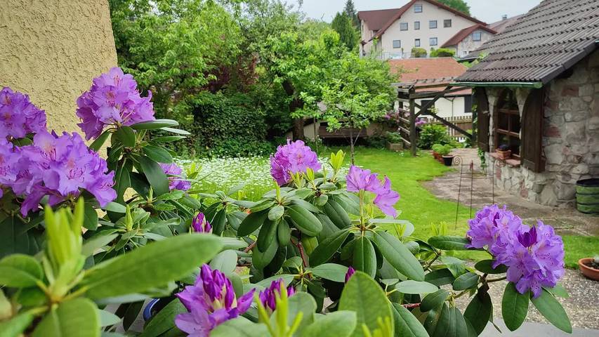 Ferienwohnung für 2 Personen, mit Terrasse in Hilders - 2