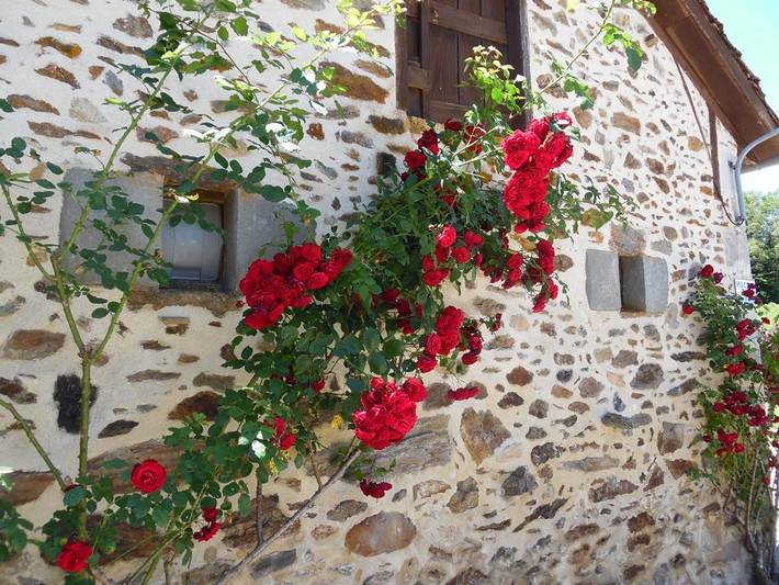 Location de vacances pour 4 personnes, avec Terrasse et Jardin ainsi que Piscine et Vue dans Sousceyrac-en-Quercy