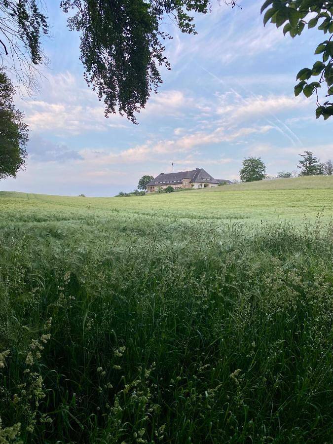 B&B, mit Terrasse und Garten sowie Ausblick in Essen