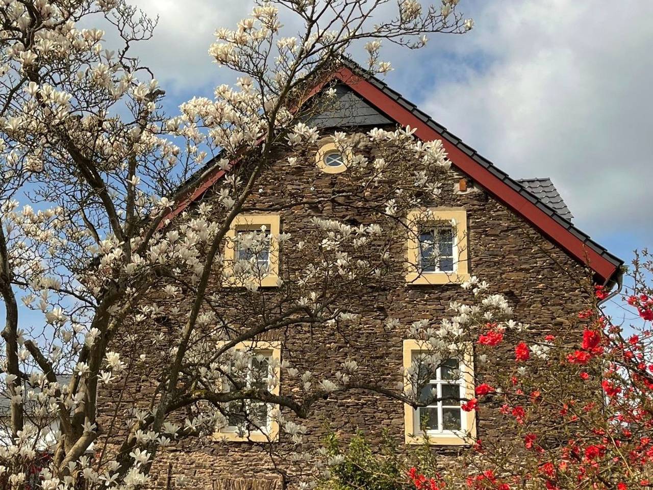 Ganze Ferienwohnung, Moselbleibe Altes Forsthaus - Moselbleibe I Altes Forsthaus in Wehlen (Rheinland-Pfalz), Bernkastel-Kues