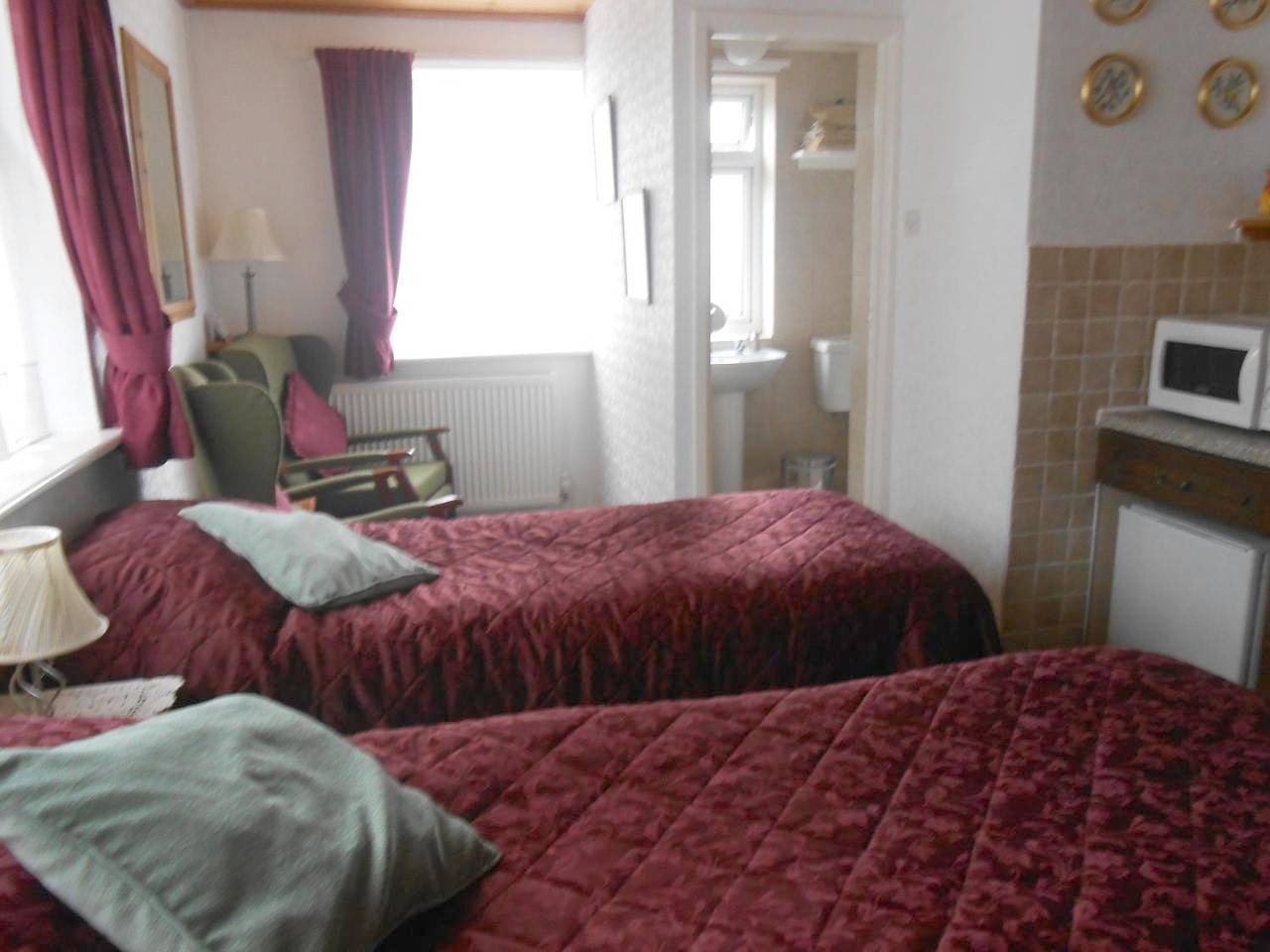 Double or Twin Room with Private Bathroom in Dolgellau, Snowdonia