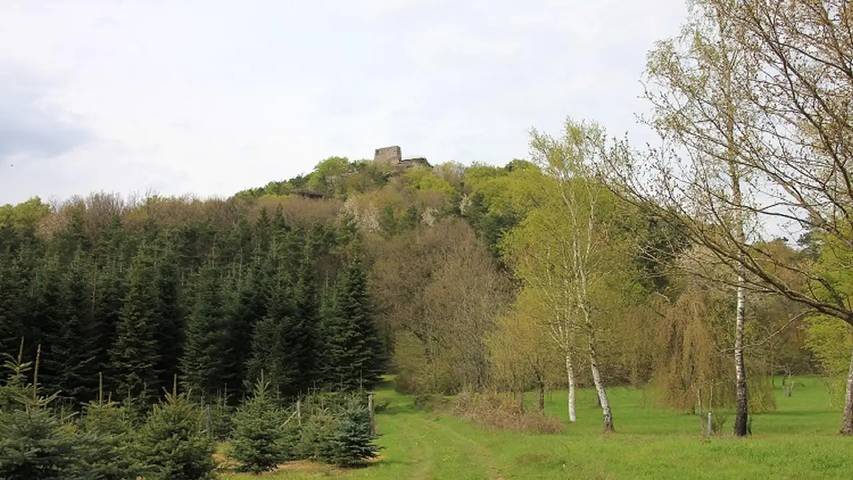 Ferienwohnung für 2 Personen, mit Terrasse und Garten im Pfälzer Wald - 4