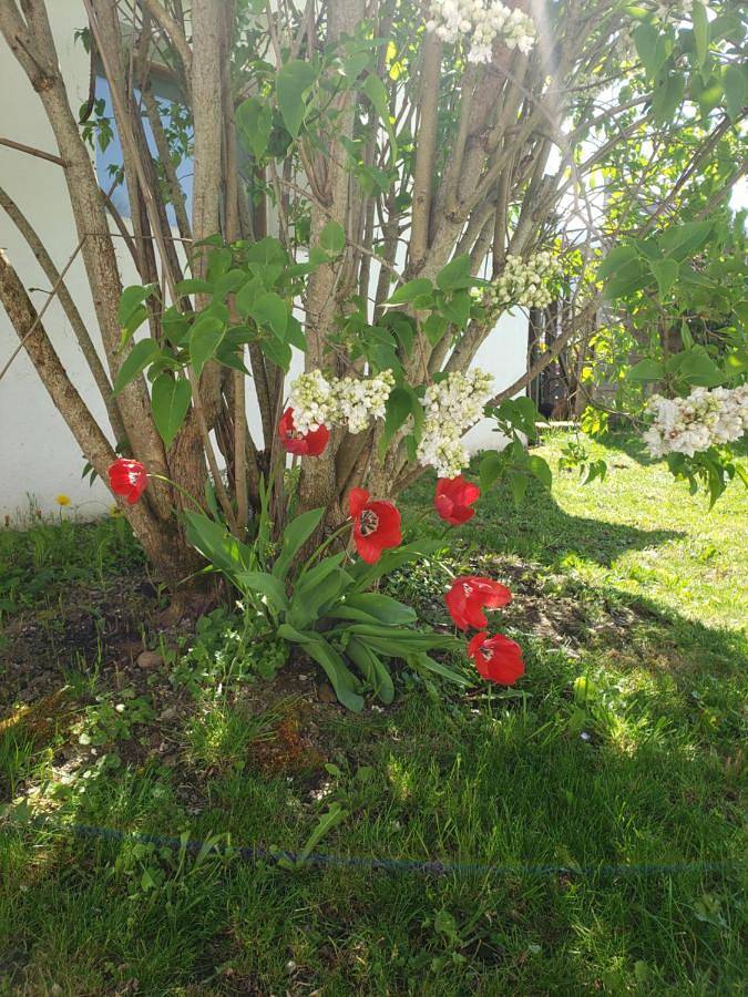Location de vacances pour 6 personnes, avec jardin et vue à Hèches