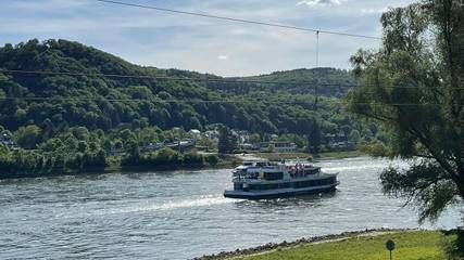 Ferienwohnung für 4 Personen, mit Sauna und Garten, mit Haustier in Loreley