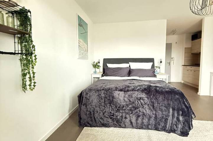Ganze Wohnung, Apartment mit Seesicht und Balkon 1 min zum See in Rorschach, Obersee (Bodensee)